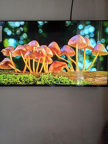 led свет: Смарт-телевизор BEKOH D (надпись на рамке “BEKOH D”), тонкие рамки — 4