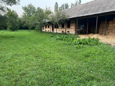 Həyət evləri və villaların satışı: 4 otaqlı, 63 kv. m, Təmirsiz — 9