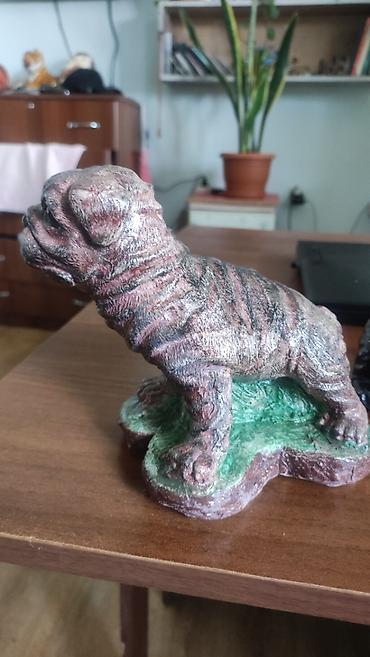 fransız bulldog: Fiqur, Gips — 9