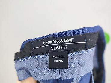 creeks: Cedar Wood State, Spodnie garniturowe męskie, rozmiar L — 4