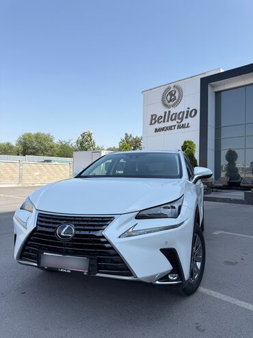 corolla runx: Lexus NX: 2020 г., 2.5 л, Автомат, Гибрид, Кроссовер