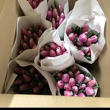 Букеты из живых цветов: ТЮЛЬПАНЫ ОПТОМ от 100шт Голландские привозные тюльпаны с луковицей — 5
