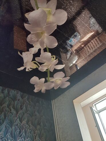 Натяжной потолок: Натяжной потолок Глянцевое, Матовое, 3D потолки — 4