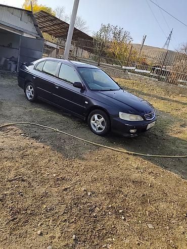 Продажа авто: Honda Accord: 2002 г., 2 л, Автомат, Бензин, Хэтчбэк — 3