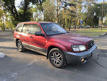 subaru forester автомобил: Subaru Forester: 2003 г., 2 л, Автомат, Бензин, Универсал