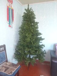 nişan xonçaları 2022: Yolka 2m.80 s