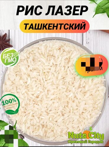цены на мясо в бишкеке 2023: Ташкентский лазер. Продается в любом объеме! Цена на 1кг 190 сом