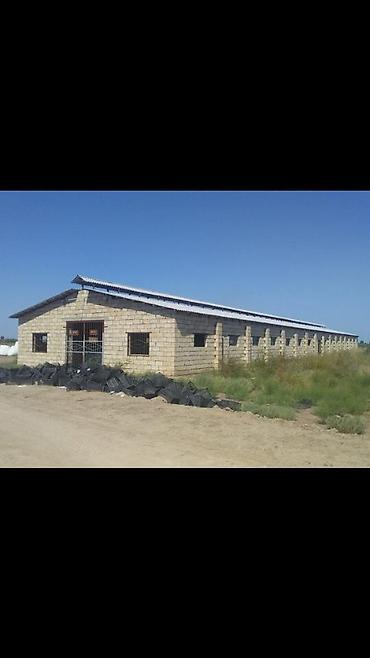 Kommersiya daşınmaz əmlakının satışı: 150 HEKTAR ƏRAZİ satılır İMİŞLİDƏ 110 HEKTAR Mülkiyyət Əkin — 16