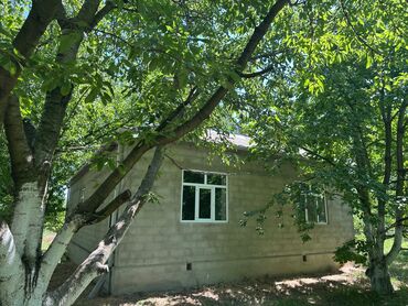 Bağ evlərinin satışı: Xaçmaz, 126 kv. m, 4 otaqlı, Hovuzsuz -da lalafo.az — 10 Bağ evlərinin satışı: Xaçmaz, 126 kv. m, 4 otaqlı, Hovuzsuz — 10