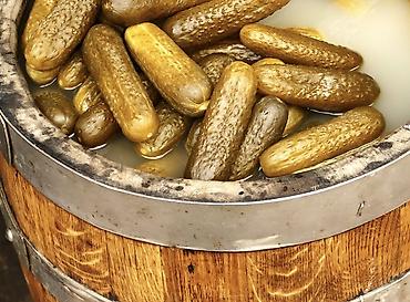 Продукты питания: Огурцы Оптом — 1
