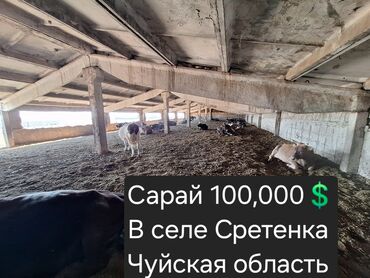 сниму дом недорого: Сарай для скота, Чуйская область, село Сретенка. Цена: 100,000 $