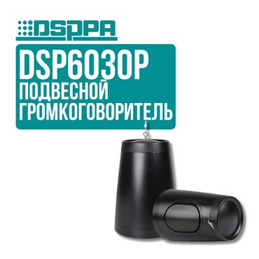 Динамики и колонки: Подвесной громкоговоритель DSPPA DSP6030P 💡 Влагозащищённый динамик с