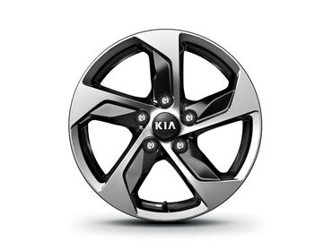 колесо для шиншиллы: Диски R 16 Kia, Комплект, отверстий - 5, Новый