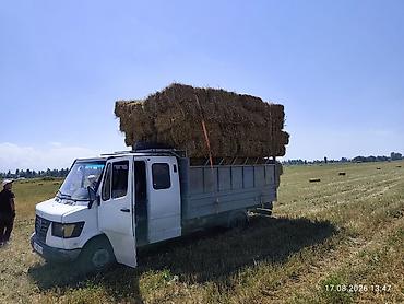 205 65 15р: Грузовик, Mercedes-Benz, Дубль, Б/у — 2