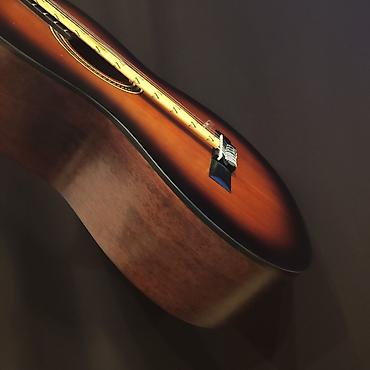 akustik gitara: Klassik gitara Valencia VC204H Üst:Sitka Spruce Qol: Ebonized — 2