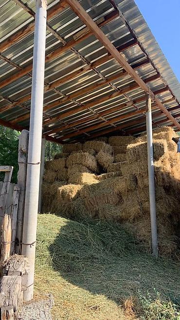 Продажа коттеджей и домов: Продаётся одноэтажный жилой дом с участком. - Планировка: несколько — 9