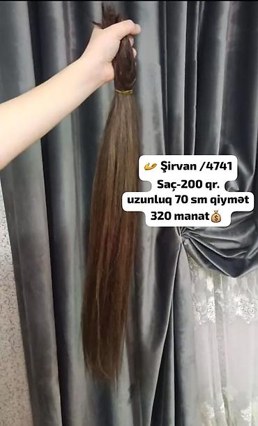 1 ədəd qizilgul qiyməti: Şirvan / 4741 - Məhsul: Təbii saç quyruğu (toplu) - Çəki: 200 qram - — 1