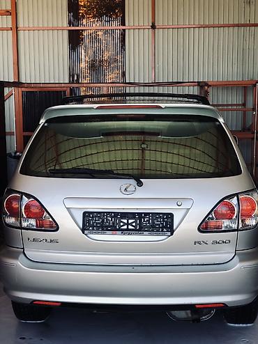 Lexus: Lexus RX: 2002 г., 3 л, Автомат, Бензин, Кроссовер — 14