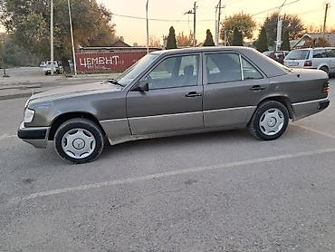 дерево на мерс 124: Mercedes-Benz W124: 1990 г., 2.3 л, Механика, Бензин, Седан — 1