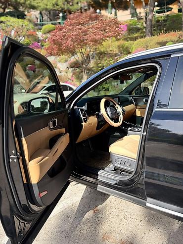 Kia: Kia Sorento: 2020 г. — 15