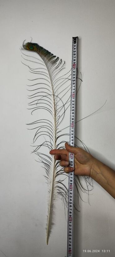 Декор для дома и сада: Декор для дома и сада at lalafo.kg — 6 Декор для дома и сада: Декор для дома и сада — 6