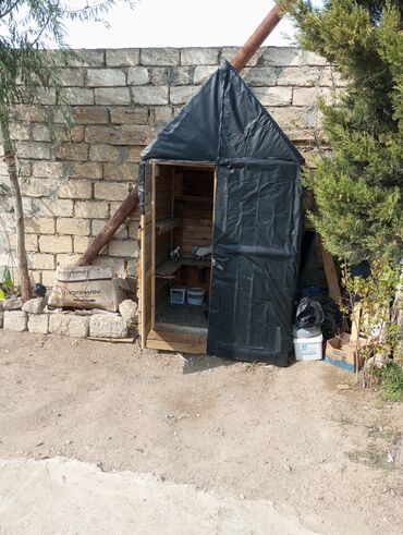 xacmazda satilan inekler: Salam yuva qarişig satılır tergizle quslardi sağlam guslardi coxu
