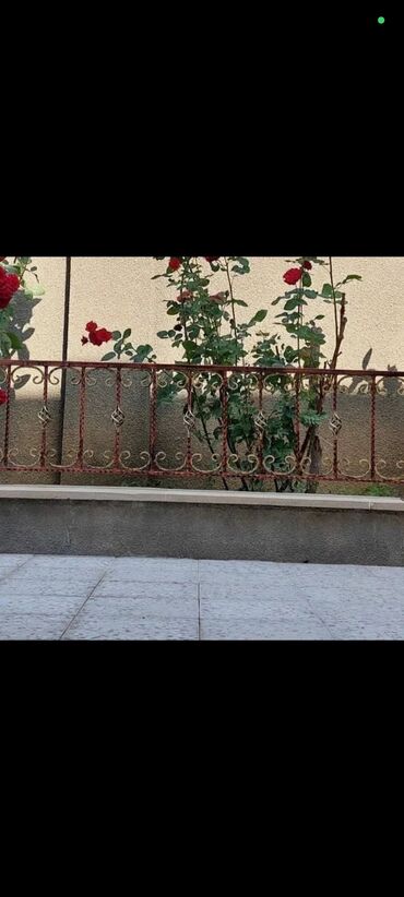 Barmaqlıqlar: Lalafo dan gələn müştərilərə endirim olacaq 👍 Hər zövqə uyğun Resotka — 9