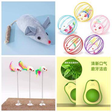 Зоотовары: ПРОДАЮ КОШАЧЬЮ МЯТУ(АНТИСТРЕСС),ПОРАДУЙТЕ СВОГО КОТИКА ТАКОЙ at lalafo.kg — 27 Зоотовары: ПРОДАЮ КОШАЧЬЮ МЯТУ(АНТИСТРЕСС),ПОРАДУЙТЕ СВОГО КОТИКА ТАКОЙ — 27