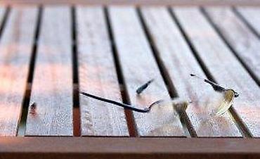 Naočare: Minimal art Vintage Denmark Zenith dioprijski ram. Made in Denmark — 12