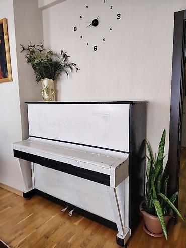 Пианино: Upright piano – klassik dizaynlı, ağ-qara rəng kombinasiya ilə. - — 4