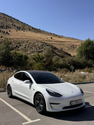 Tesla: Tesla Model 3: 2020 г., Электромобиль, Седан — 4