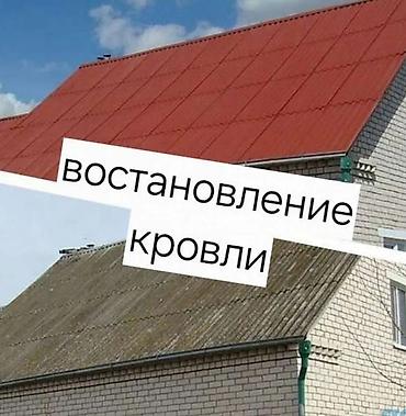 Кровля крыши: Ремонт крыша Замена кровля Частичный ремонт Утечка крыша Чистка труба — 1