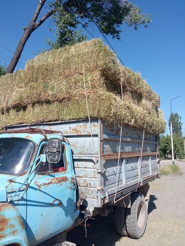 молоко для телят: Беде тук алабыз с поля Чуй Бишкек Кант Аламудун район тегерегинен тел