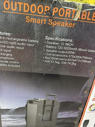rant ace: Портативная акустическая система Sing-e HiFi (Outdoor Portable Smart — 3