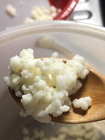 Mlečni proizvodi, jaja: Prodajem gljive za spravljanje tibetanskog kefira. Količina je — 14