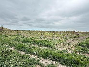 Torpaq sahələrinin satışı: 3000 sot — 18