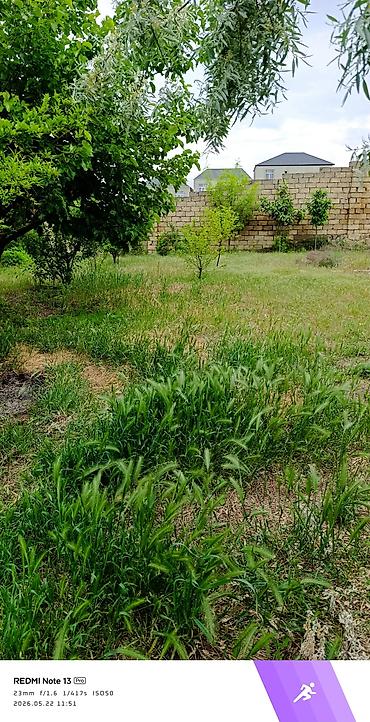 Torpaq sahələrinin satışı: 12 sot, Tikinti, Mülkiyyətçi, Kupça (Çıxarış) — 2