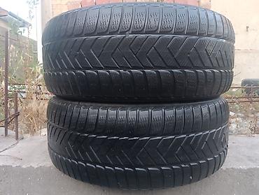 писипи тир: Шины 255 / 45 / R 19, Зима, Б/у, Пара, Легковые, Германия, Pirelli — 1