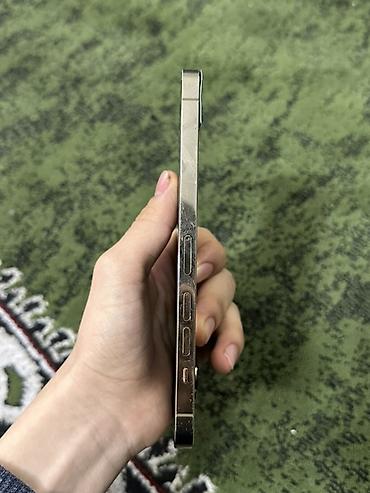 Apple iPhone: IPhone 13 Pro Max, Серебристый — 7