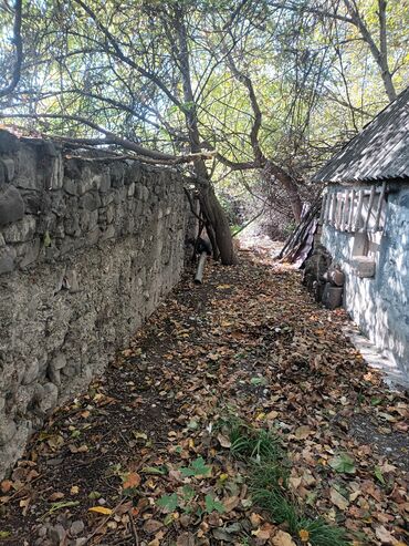 Həyət evləri və villaların satışı: Torpaq bağ sahəsi 42 sot meyvə baği satıram -da lalafo.az — 4 Həyət evləri və villaların satışı: Torpaq bağ sahəsi 42 sot meyvə baği satıram — 4