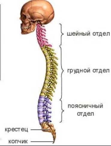 курс массаж: Обучение массажа. Лечебный, точечный, баночный