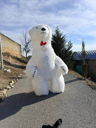 kombi və radiatorların satışı: Şou xidmətləri – nəhəng maskot ayı personajları Tədbirləriniz üçün — 4