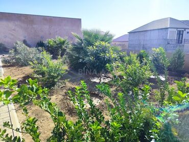 Həyət evləri və villaların satışı: Şıxov 7 otaqlı, 400 kv. m, Kredit var, Yeni təmirli — 16