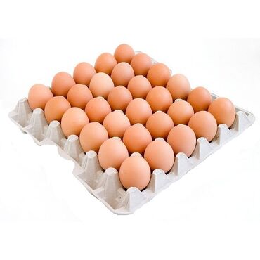 Молочные продукты и яйца: Только оптом! Местные фабричные яйца все категории Горох, С3, С2, С1