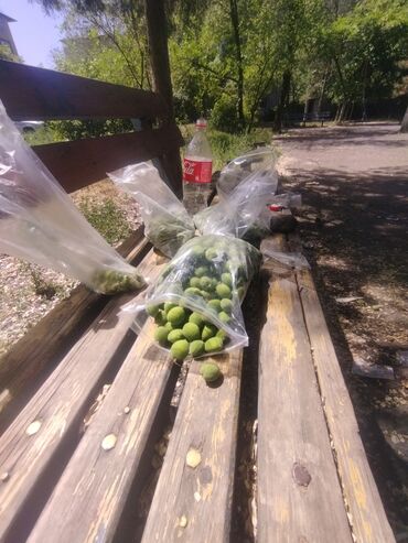 жашыл орук: Продаем оруки маленький пакетик 5 сом
все сразу 500с