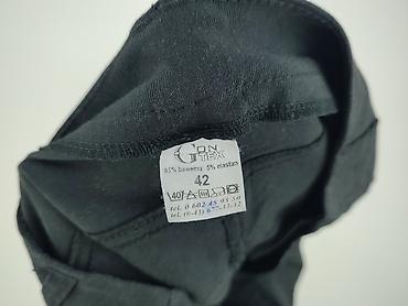 nort face: Gore-Tex, Spodnie materiałowe damskie, rozmiar XL — 5