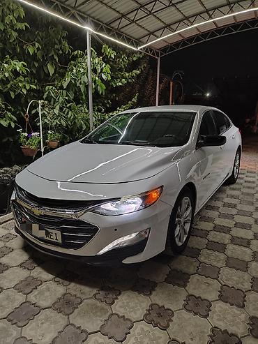 на малибу: Chevrolet Malibu: 2019 г., 1.5 л, Автомат, Бензин, Седан — 1