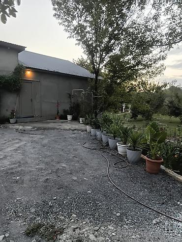 lökbatan kiraye: 100 kv. m, 3 otaqlı, Hovuzlu, İşıq — 6