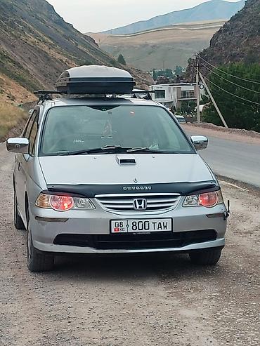 рейлинг соната: Honda Odyssey: 2003 г., 2.3 л, Минивэн — 1