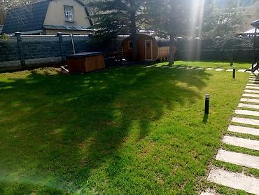 Газон: Газон
Автополив
Ландшафтный дизайн — 3